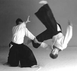 aikido_web_1.gif